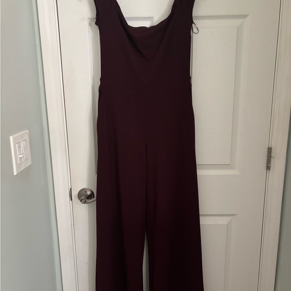 Express Deep Burgundy Jumpsuit